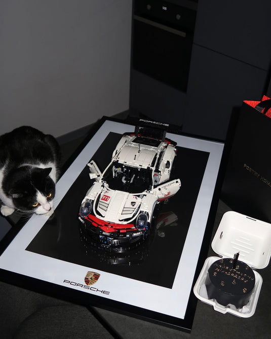 Картина з конструктором Porsche 911 RSR