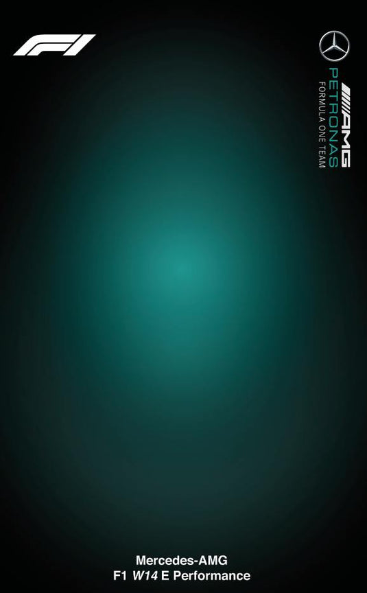 Картина з конструктором Mercedes AMG W14